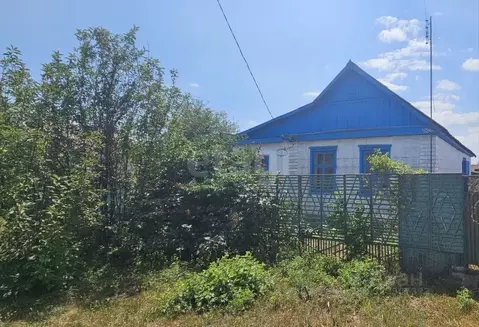 Дом в Краснодарский край, Белореченск Келермесская ул. (40 м)