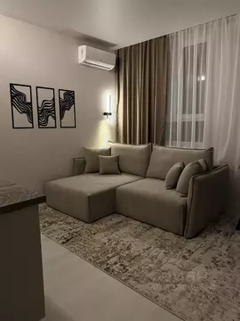 Студия Московская область, Красногорск ул. Александровская, 4 (27.0 м)