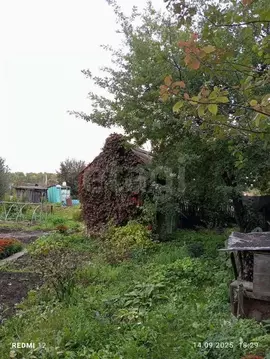 Участок в Томская область, Томск Ромашка СНТ, ул. 9-я (4.5 сот.)