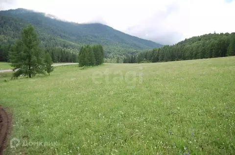 Участок в Алтай, Чемальский район, с. Эдиган  (150.0 сот.)