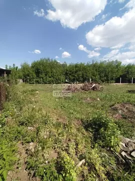 Участок в Татарстан, Нижнекамск Стройиндустрия СНТ,  (5.6 сот.)