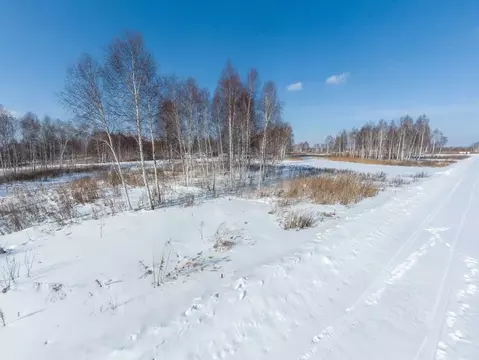 Участок в Тюменская область, Нижнетавдинский муниципальный округ, 7 ...