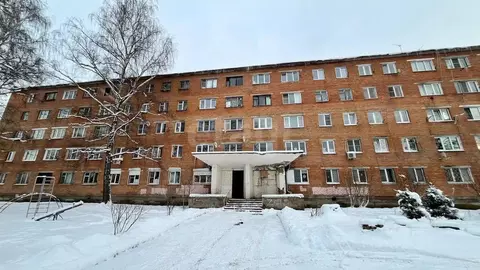 Студия Московская область, Павловский Посад Южная ул., 16 (18.1 м)