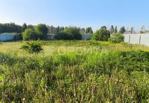 Участок в Тюменская область, Тюмень Якорь садовое товарищество, ул. ...