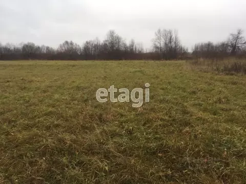 Участок в Архангельская область, Котласский муниципальный округ, д. ...