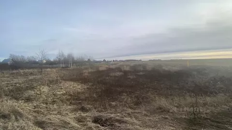 Участок в Владимирская область, Суздальский район, Селецкое ...