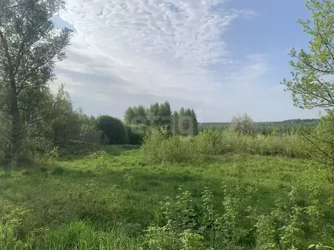Участок в Владимирская область, Камешковский муниципальный округ, д. ...