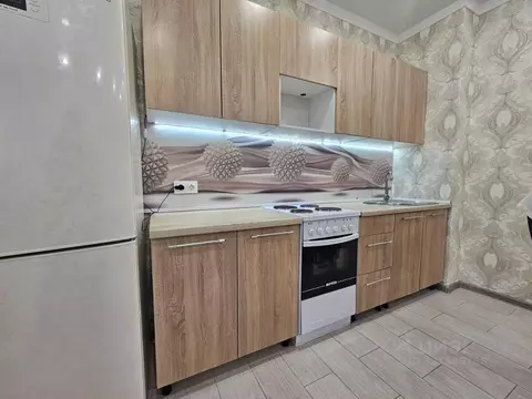 1-к кв. Тюменская область, Тюмень Велижанская ул., 70к1 (59.0 м)