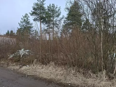Участок в Ленинградская область, Всеволожское городское поселение, ...
