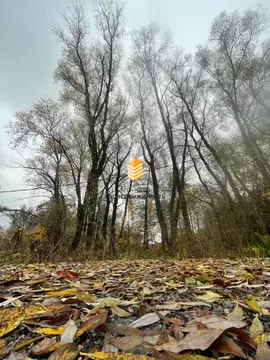 Участок в Башкортостан, Уфимский район, Жуковский сельсовет, д. ...