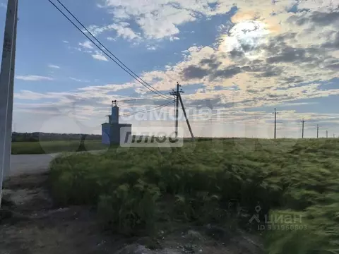 Участок в Крым, Ленинский район, с. Приозерное  (4.0 сот.)