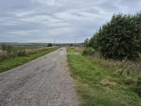 Участок в Владимирская область, Вязники муниципальное образование, д. ...