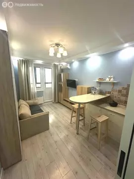 Квартира-студия: посёлок городского типа Дрожжино, Южная улица, 27 ...