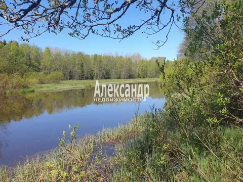 Участок в Ленинградская область, Выборгский район, Советское городское ...