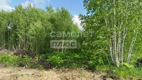 Участок в Иркутская область, Иркутский муниципальный округ, ...