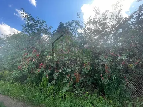 Участок в Оренбургская область, Оренбургский район, Нежинский ...