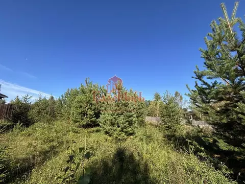 Участок в Московская область, Дмитровский муниципальный округ, д. ...