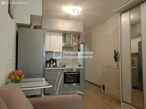 Квартира-студия: Санкт-Петербург, проспект Ветеранов, 171к2 (24.8 м)