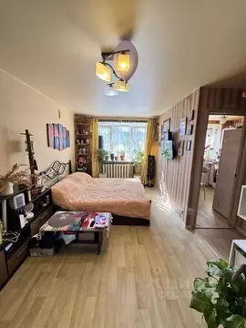 1-к кв. Нижегородская область, Дзержинск ул. Чапаева, 41/20 (29.3 м)