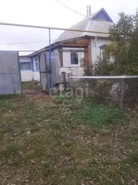 Дом в Белгородская область, Ракитянский район, Нижнепенское с/пос, с. ...