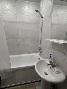 3-к кв. Новосибирская область, Новосибирск Ипподромская ул., 31 (61.7 ...