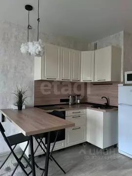 Студия Санкт-Петербург Комендантский просп., 55к1 (27.3 м)