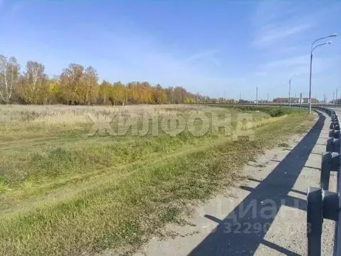 Участок в Новосибирская область, Мошковский район, с. Барлак ул. ...