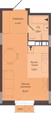 Студия Нижегородская область, Нижний Новгород Соцгород жилрайон, 1-й ...