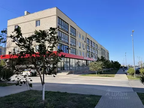 Помещение свободного назначения в Краснодарский край, Анапа ул. ...