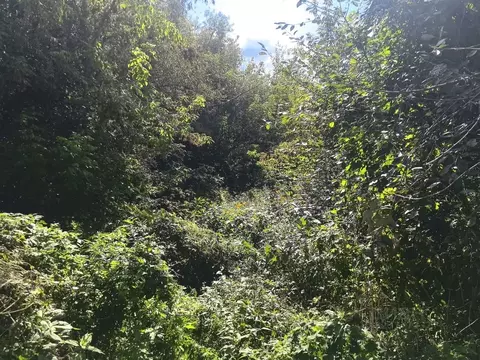 Участок в Московская область, Коломна  (9.01 сот.)