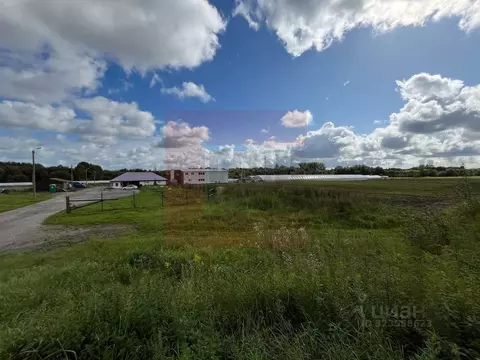 Производственное помещение в Калининградская область, Зеленоградский ...