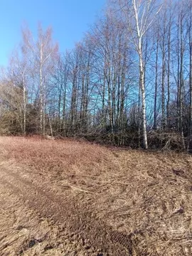 Участок в Нижегородская область, Богородский муниципальный округ, д. ...