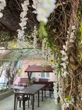 Дом в Краснодарский край, Анапа муниципальный округ, с. Сукко ул. ...