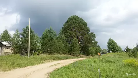 Участок в Вологодская область, Череповецкий район, Воскресенское ...