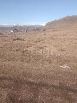 Участок в Алтай, Усть-Коксинский район, пос. Ак-Коба ул. Нагорная ...