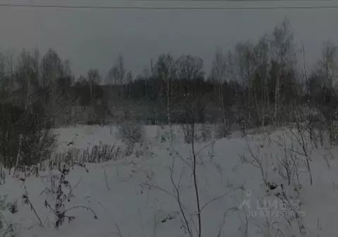 Участок в Московская область, Чехов муниципальный округ, д. Голыгино  ...