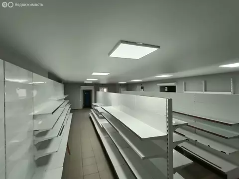 Помещение свободного назначения (265 м)