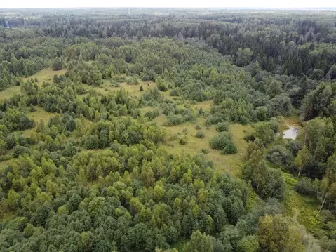 Участок в Московская область, Волоколамский муниципальный округ, д. ...