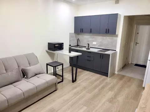 Студия Московская область, Котельники Парковый мкр, 1к20 (20.0 м)