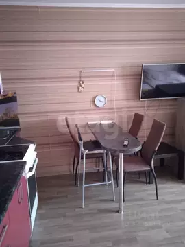 Студия Новосибирская область, Новосибирск ул. Татьяны Снежиной, 41/1 ...