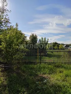 Участок в Новосибирская область, Колывань рп ул. Набережная (22.0 ...