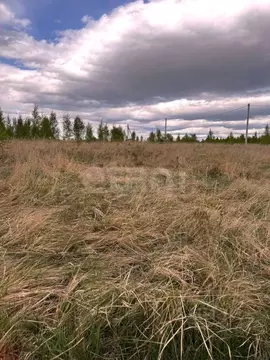Участок в Владимирская область, Муром с. Ковардицы,  (15.2 сот.)