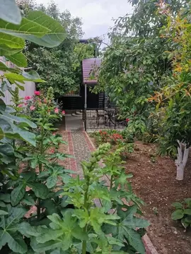 Дом в Крым, Судак ул. Виноградная, 5 (80 м)