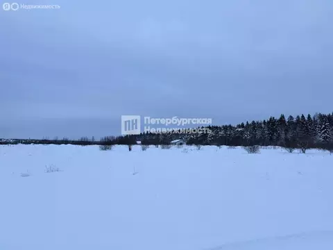 Участок в Отрадное, посёлок Петрушино, Полевая улица (10 м)