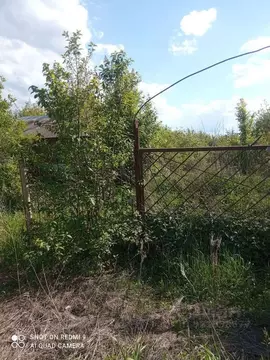 Участок в Воронежская область, Новоусманский район, Усманское 1-е ...