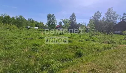 Участок в Нижегородская область, Бор муниципальный округ, д. Дерябино ...