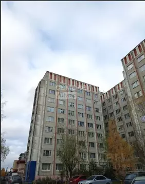 Торговая площадь в Ханты-Мансийский АО, Сургут ул. Маяковского, 34 (45 ...