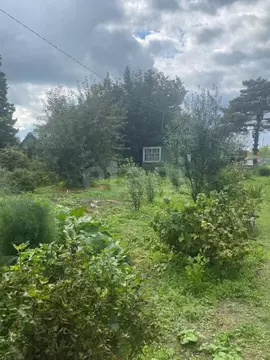 Дом в Новосибирская область, Колыванский район, Электрон СНТ ул. Новый ...