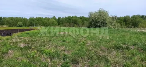 Участок в Новосибирская область, Мошковский район, с. Барлак ...