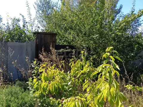 Участок в Воронежская область, Хохольский район, с. Костенки Горная ...